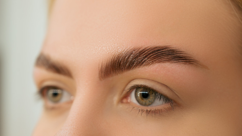 close-up of woman's eyebrows