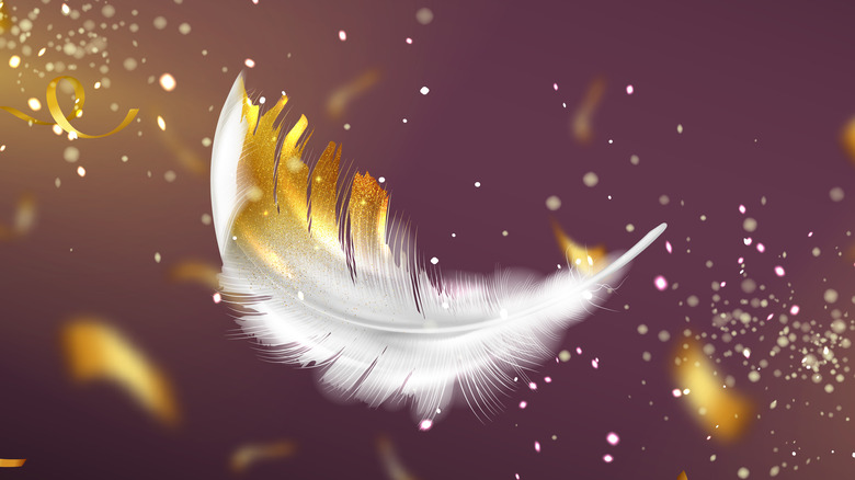 angel wing feather