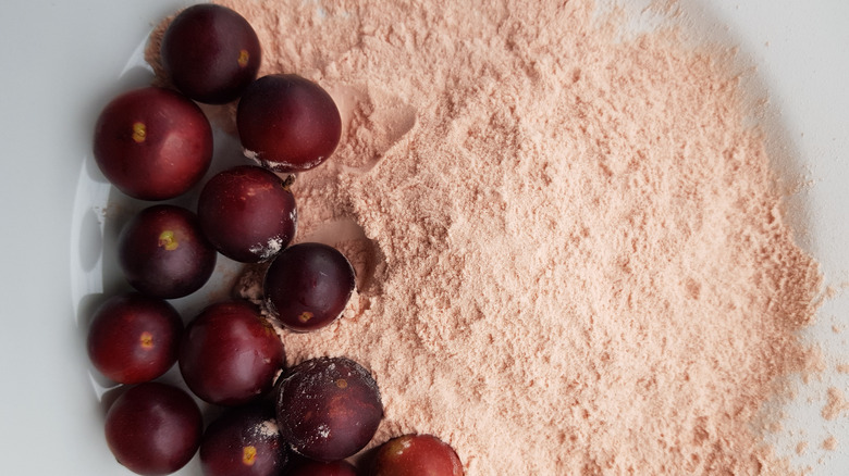 Camu camu plant and powder form