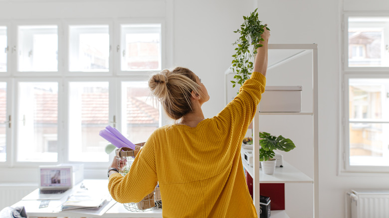 Woman arranging potted plants on shelf