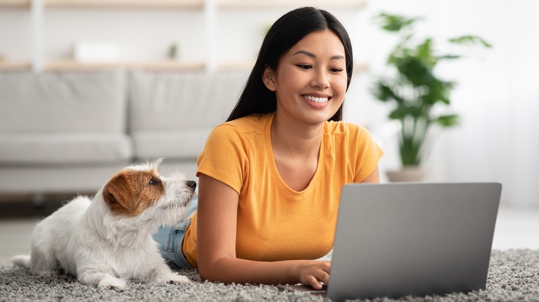 dog looking at woman working on laptop