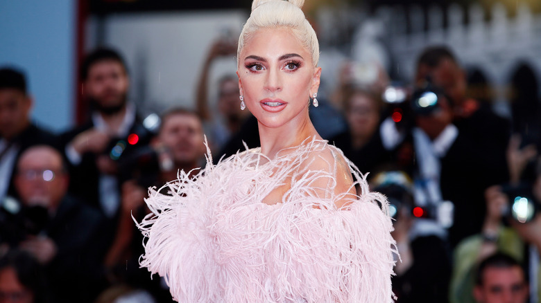 lady gaga in pink feather dress