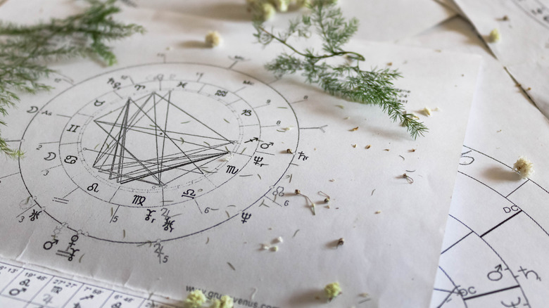 Astrology chart and foliage