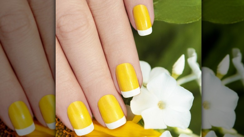 Yellow nails with white french tips