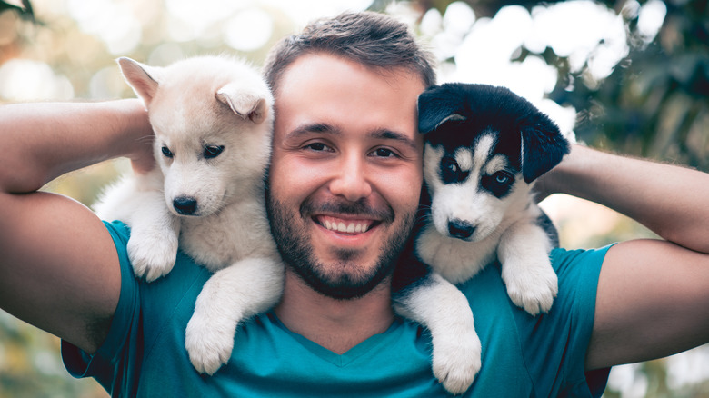 Man with Husky puppies