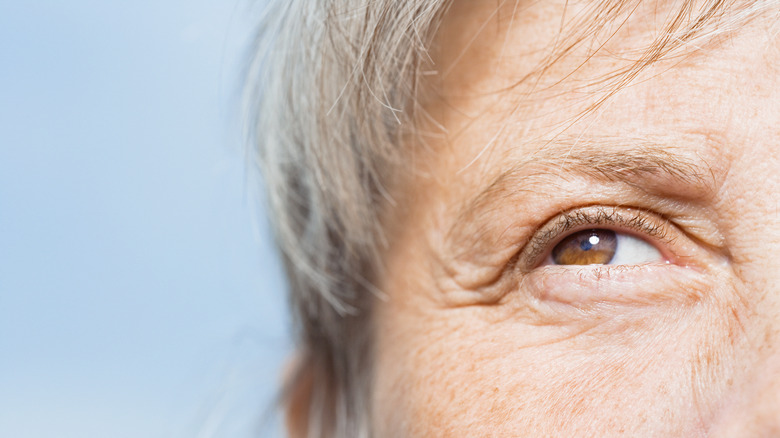 Woman's eyebrow