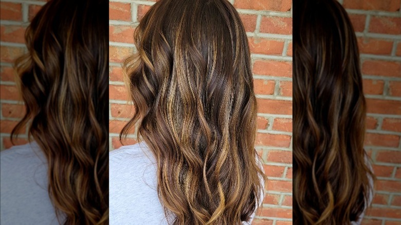 Warm brown balayage backview