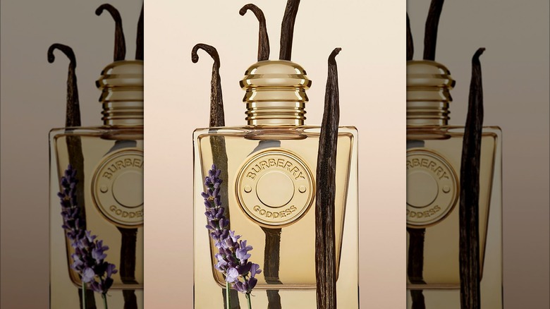 Burberry Goddess perfum vanilla lavendar