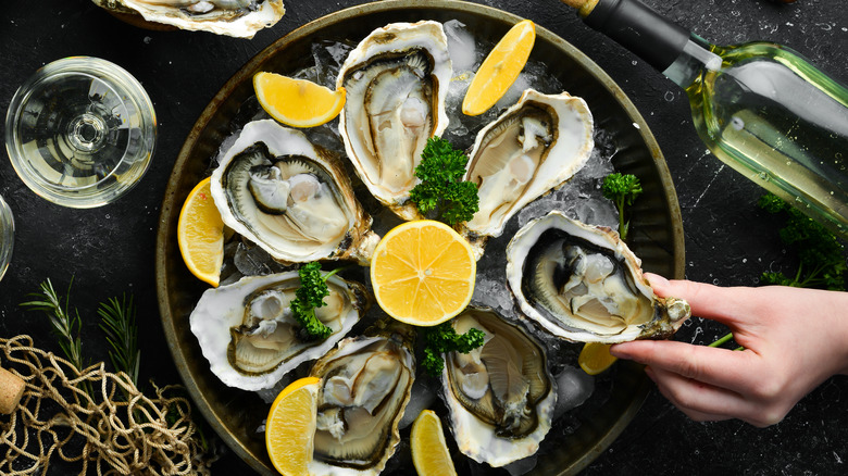 a plate of oysters