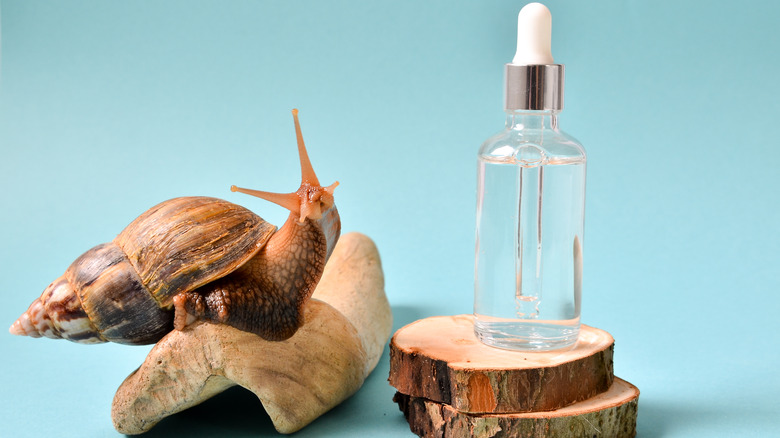 Snail beside a dropper bottle
