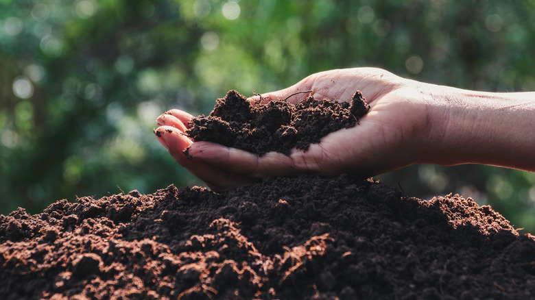 A hand holding dirt