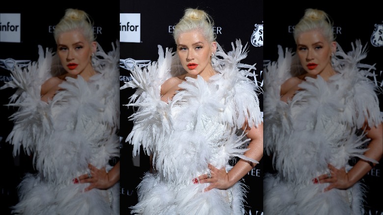 Christina Aguilera feathered dress red carpet