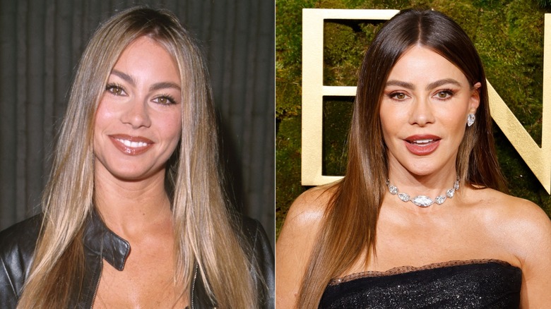 Side-by-side of Sofia Vergara with blond hair in 2000 and darker hair in 2025.