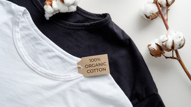 organic cotton t-shirts