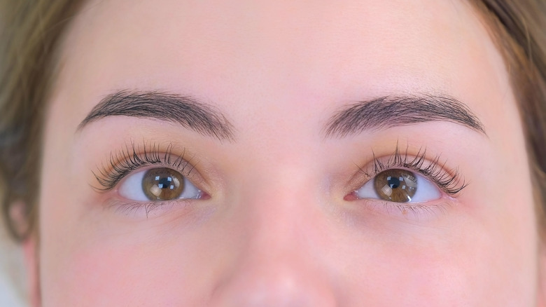 woman with lash lift 