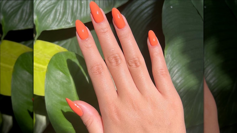 Plain coral manicure