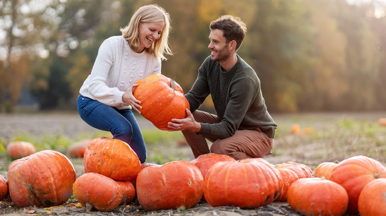 Couple holding a pumpkin