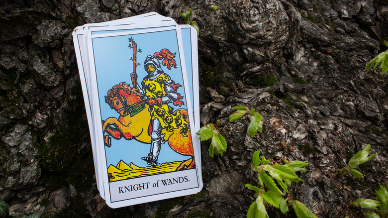 knight of wands tarot card