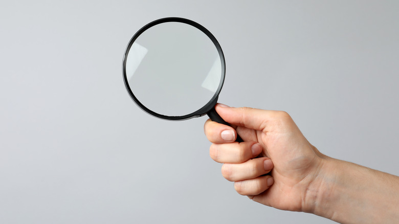 Person holding a magnifying glass