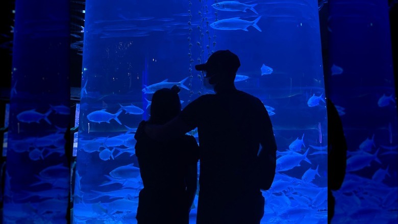 Couple at an aquarium