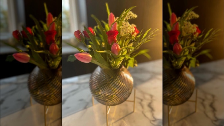 flowers in golden hour lighting