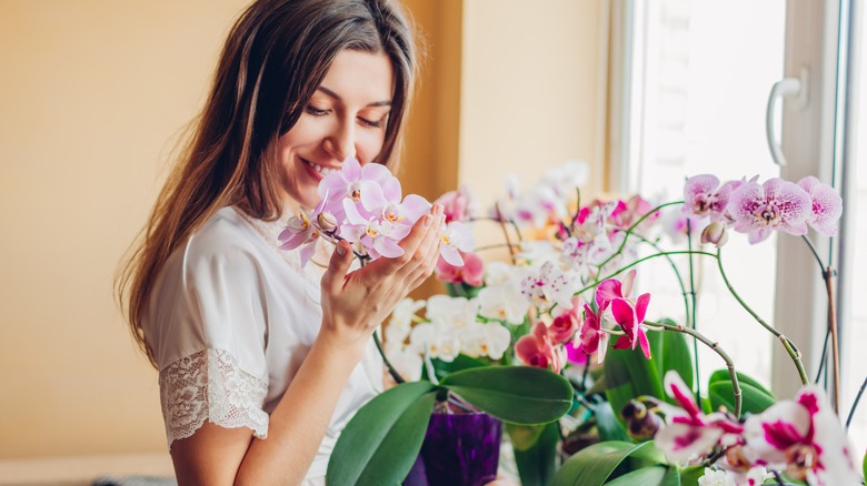 woman smelling flowers