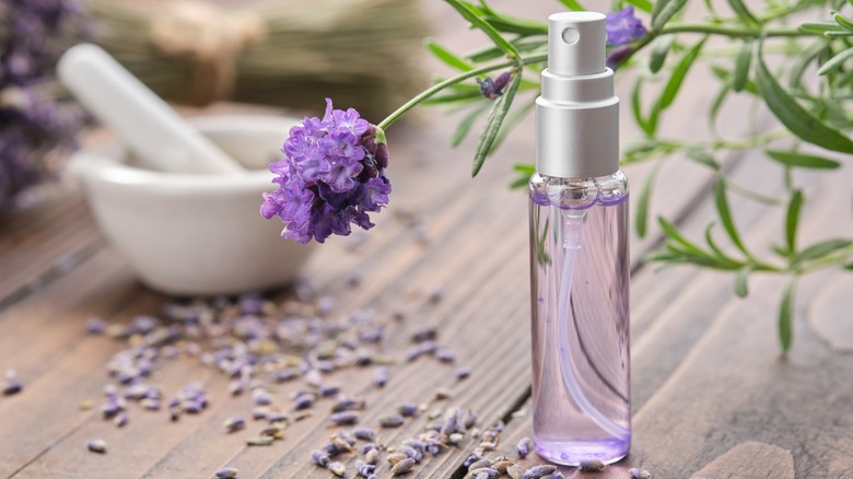 Lavender essential oil 