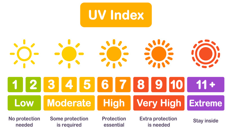 UV index graphic