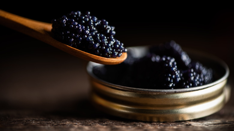 caviar in tin