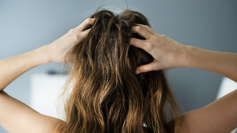 Back of woman's head massaging scalp