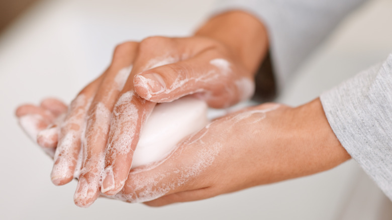 Hands holding bar of soap