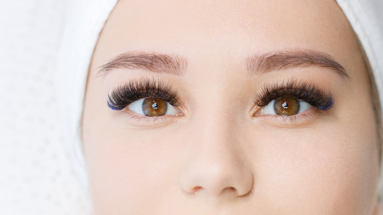 Close up of woman's brows