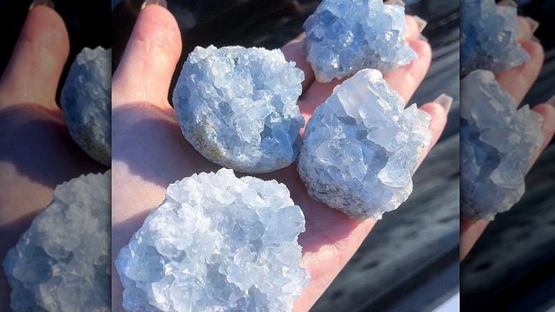 hand holding celestite clusters