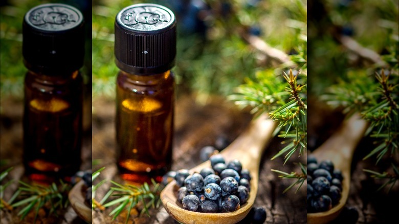 Bottle of juniper berry oil