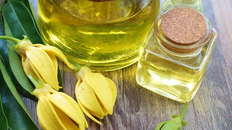 Bottle of ylang ylang essential oil 
