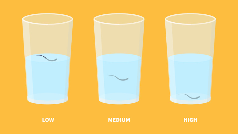 A hair porosity test