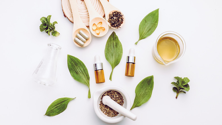 skincare products surrounded by herbs and leaves