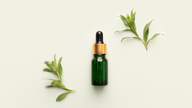 serum with dropper surrounded by plants