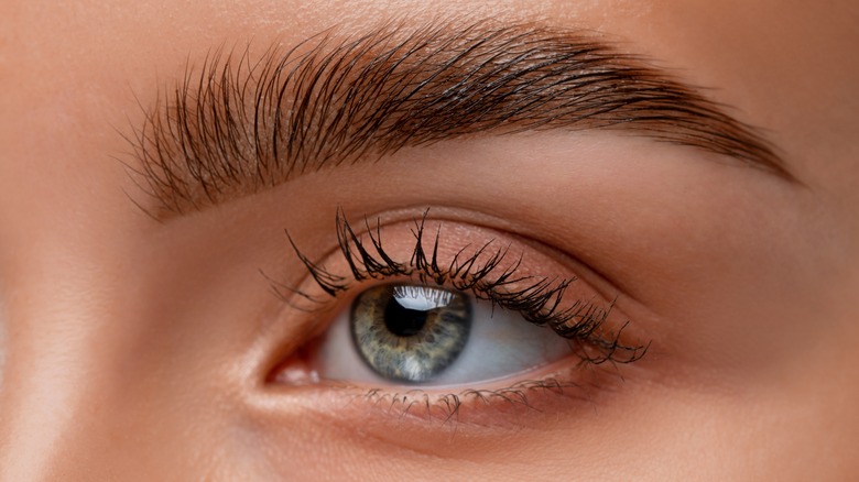 Closeup of microbladed eyebrows