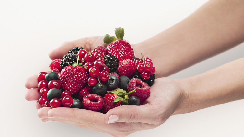 woman hands berries 