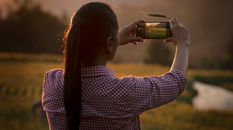 Woman photographing field