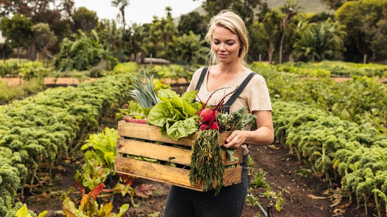 Woman lifting box of vegetables 