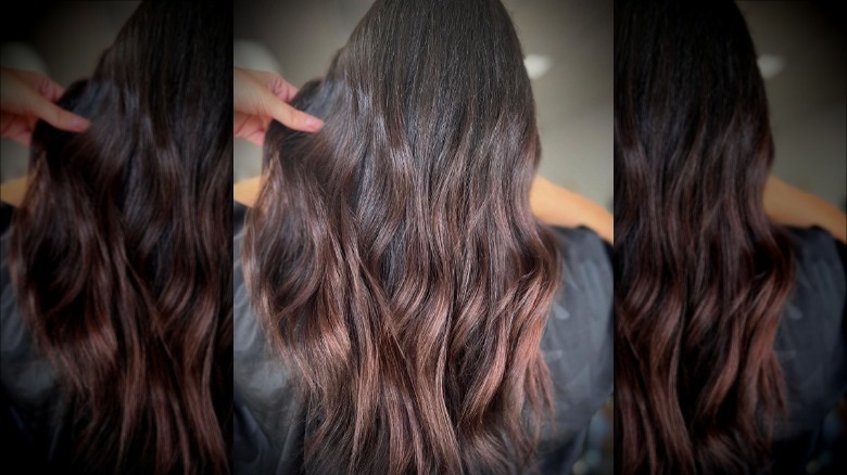 the back of brunette hair