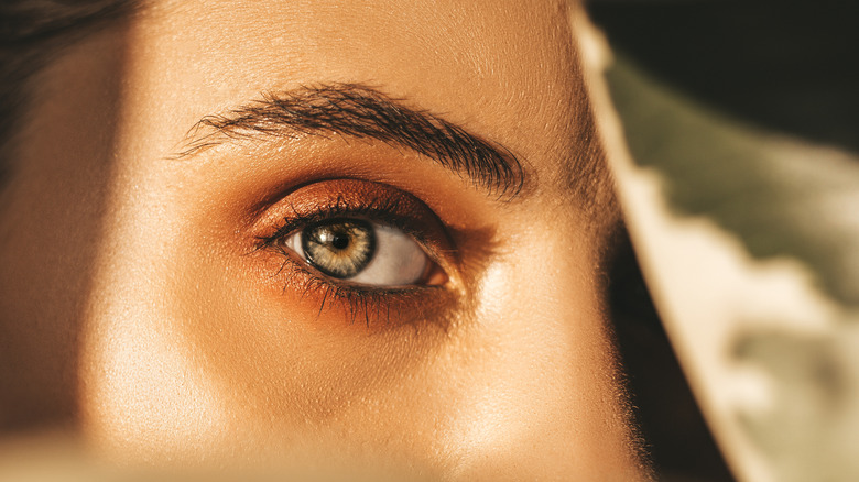 woman's eye and eyebrow behind leaves