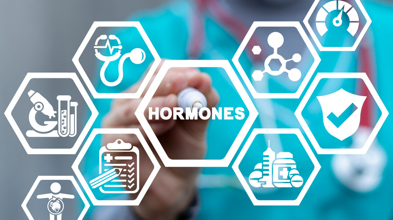 Graphic for hormones: shows stethoscope, microscope, chart, and medication decals 