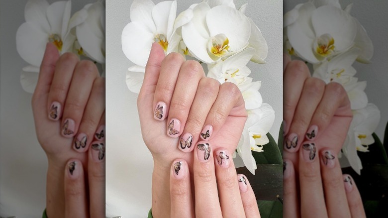 clear butterfly nails 