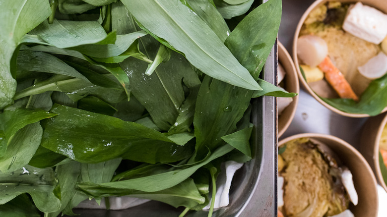 garlic leaves next to cooked dish