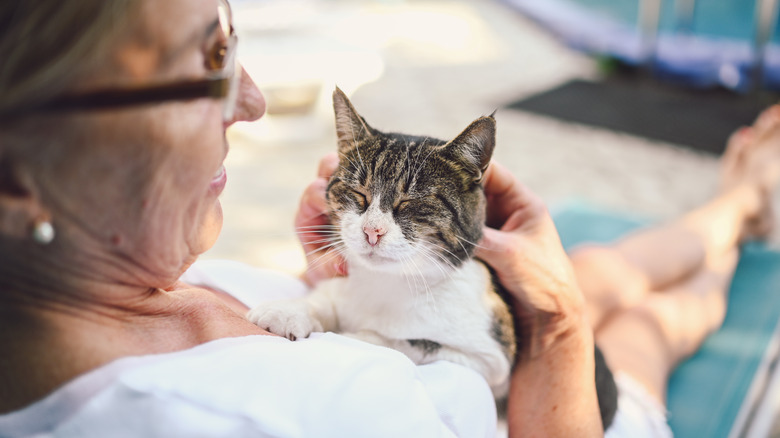 cat purring on person's lap