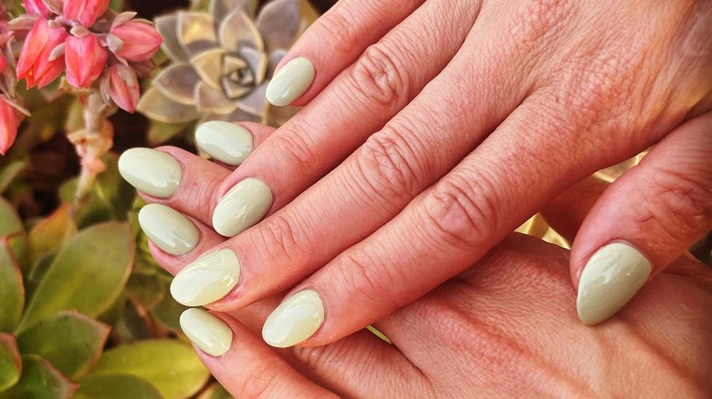 Light green manicure