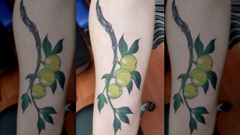 branch with apples tattoo